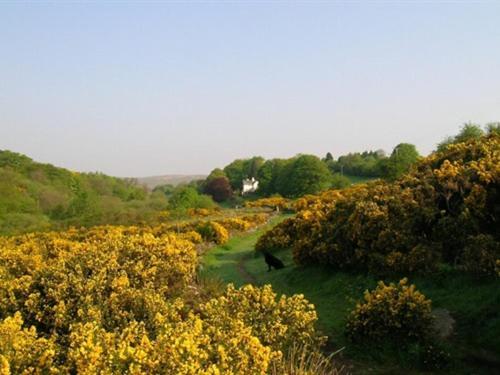 Lydgate House Hotel Postbridge Exteriér fotografie
